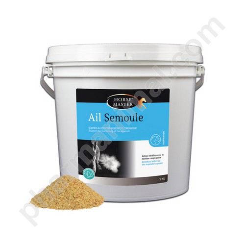 AIL SEMOULE  seau/5 kg 	pdr or  **